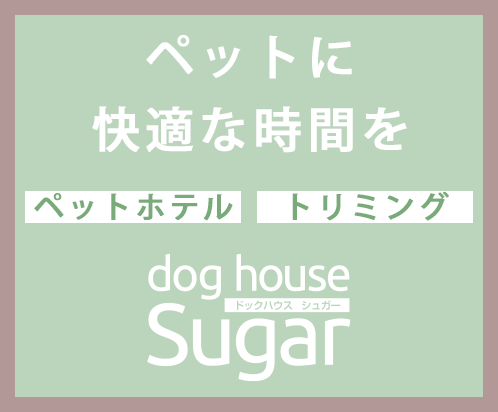 dog house Sugar（ドッグハウスシュガー）