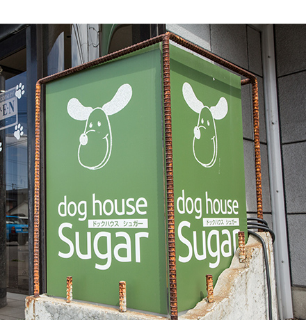 dog house Sugar（ドッグハウスシュガー）